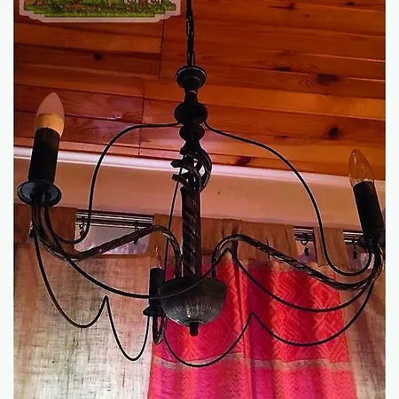 Casa de hóspedes Zigva *